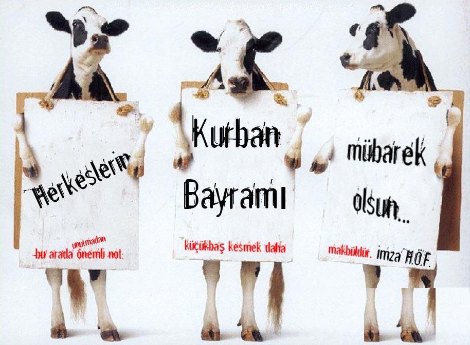 kurban_bayrami.jpg